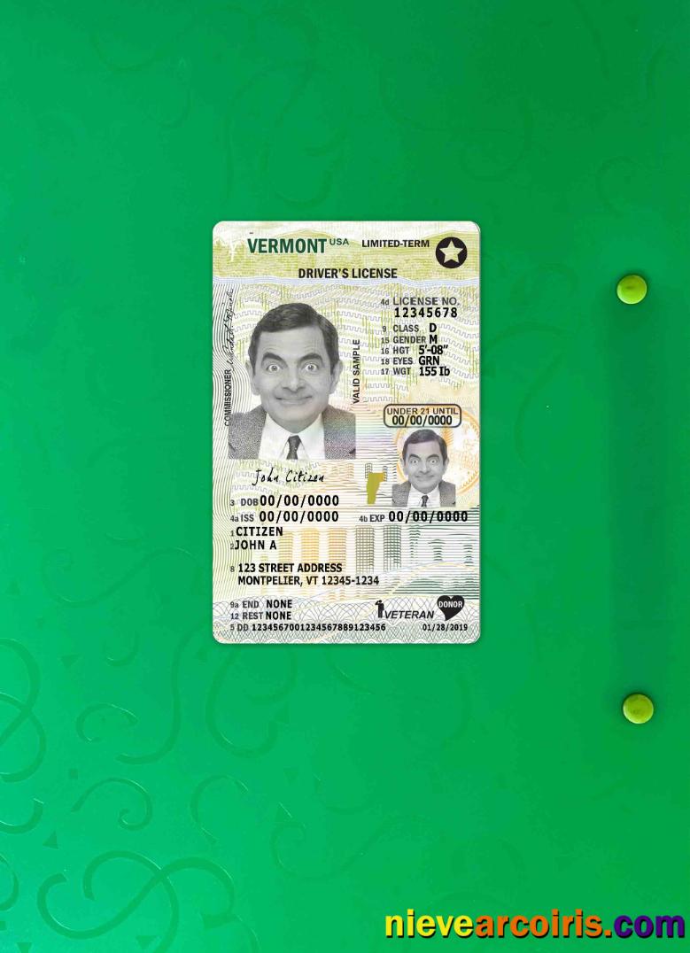 USA Vermont driving license photolook
